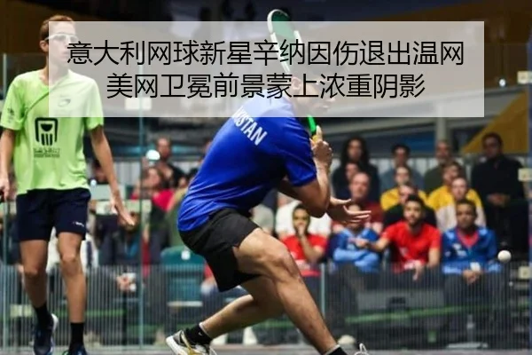 yi-da-li-wang-qiu-xin-xing-xin-na-yin-shang-tui-chu-wen-wang-mei-wang-wei-mian-qian-jing-meng-shang-nong-zhong-yin-ying-2-275.jpg